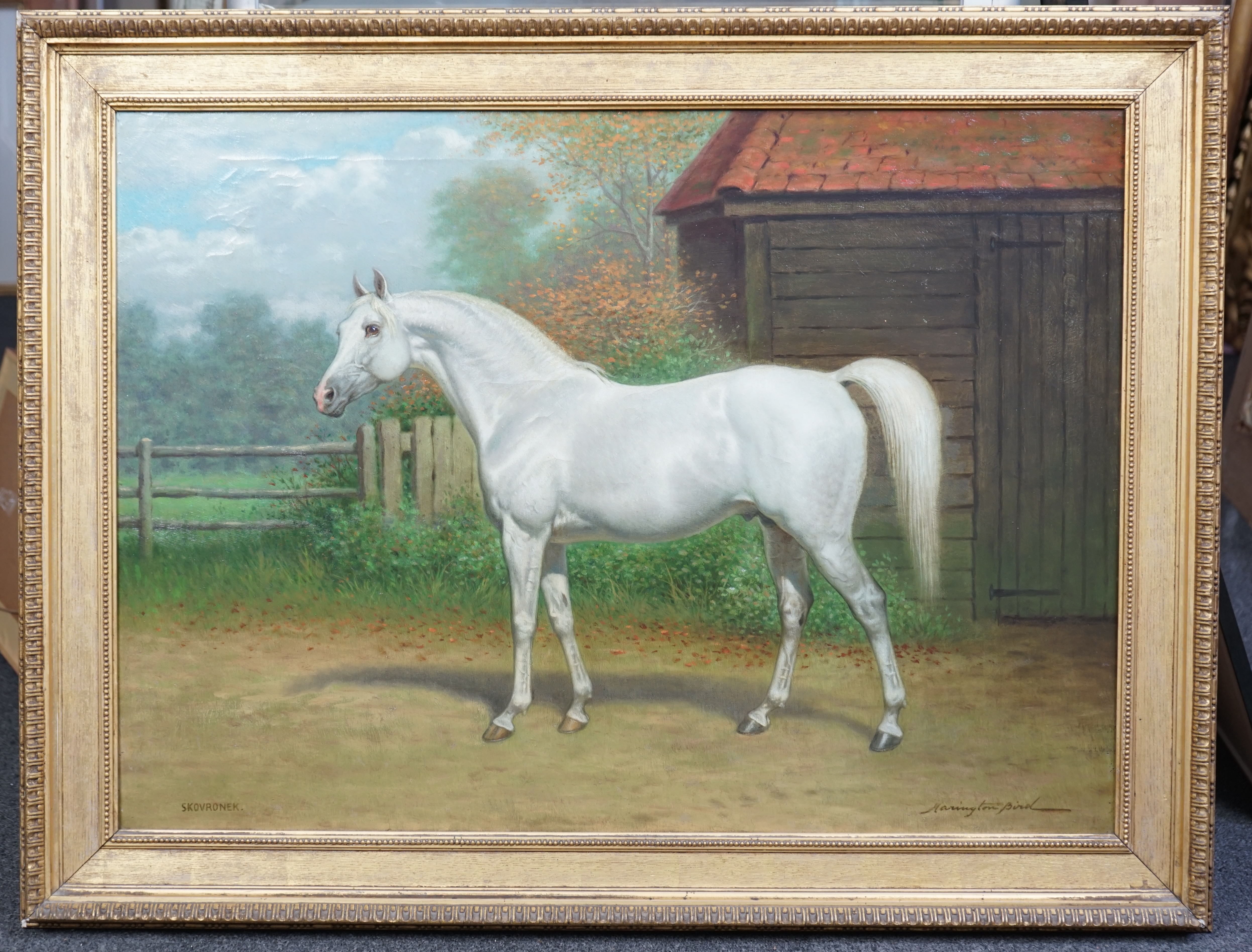 John Alexander Harrington Bird (English, 1846-1936), Portrait of the grey Arab stallion racehorse 'Skowronek', oil on canvas, 54.5 x 75cm